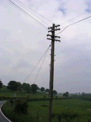 A Telegraph Pole