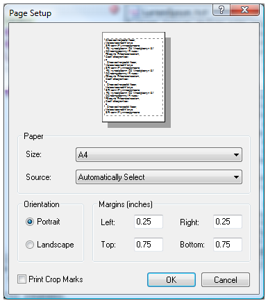 The page setup dialog